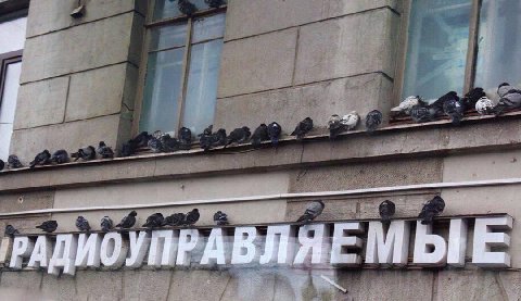 РАДИОУПРАВЛЯЕМ