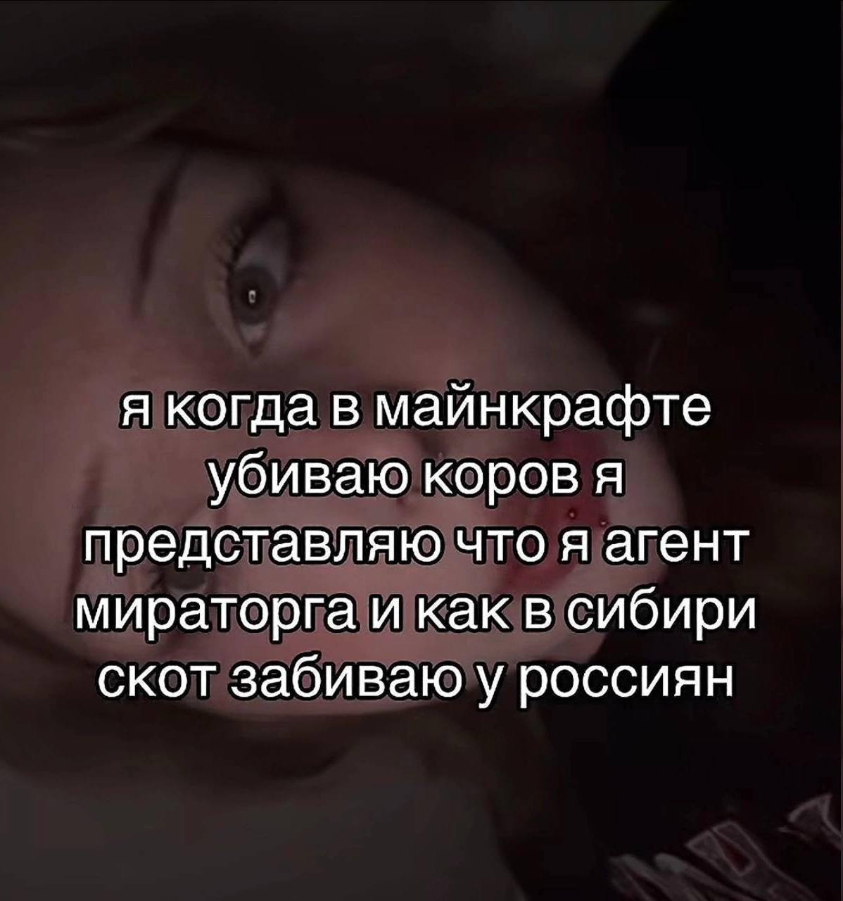 я когда в майнкрафте убиваю коров я представляю что я агент мираторга и как в сибири скот забиваю у россиян