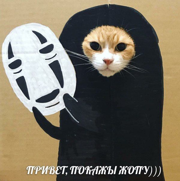 ПРИВЕТ,