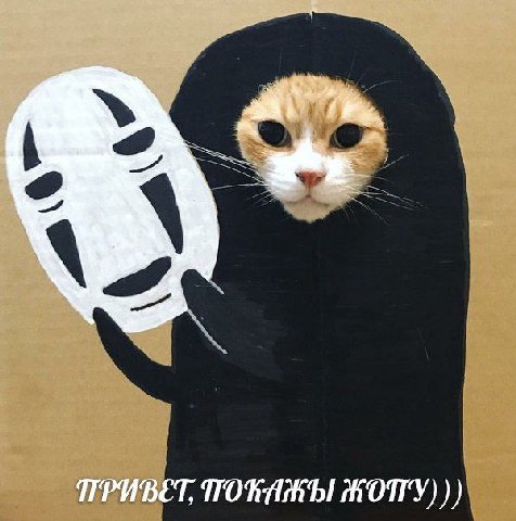 ПРИВЕТ,