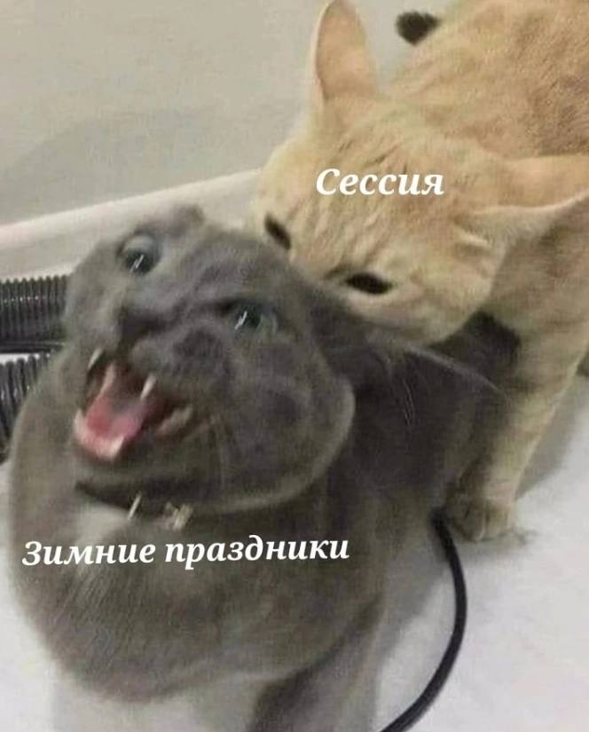 Сессия Зимние праздники