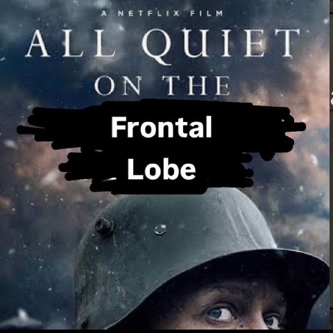 ALL 4 Frontal Lobe
