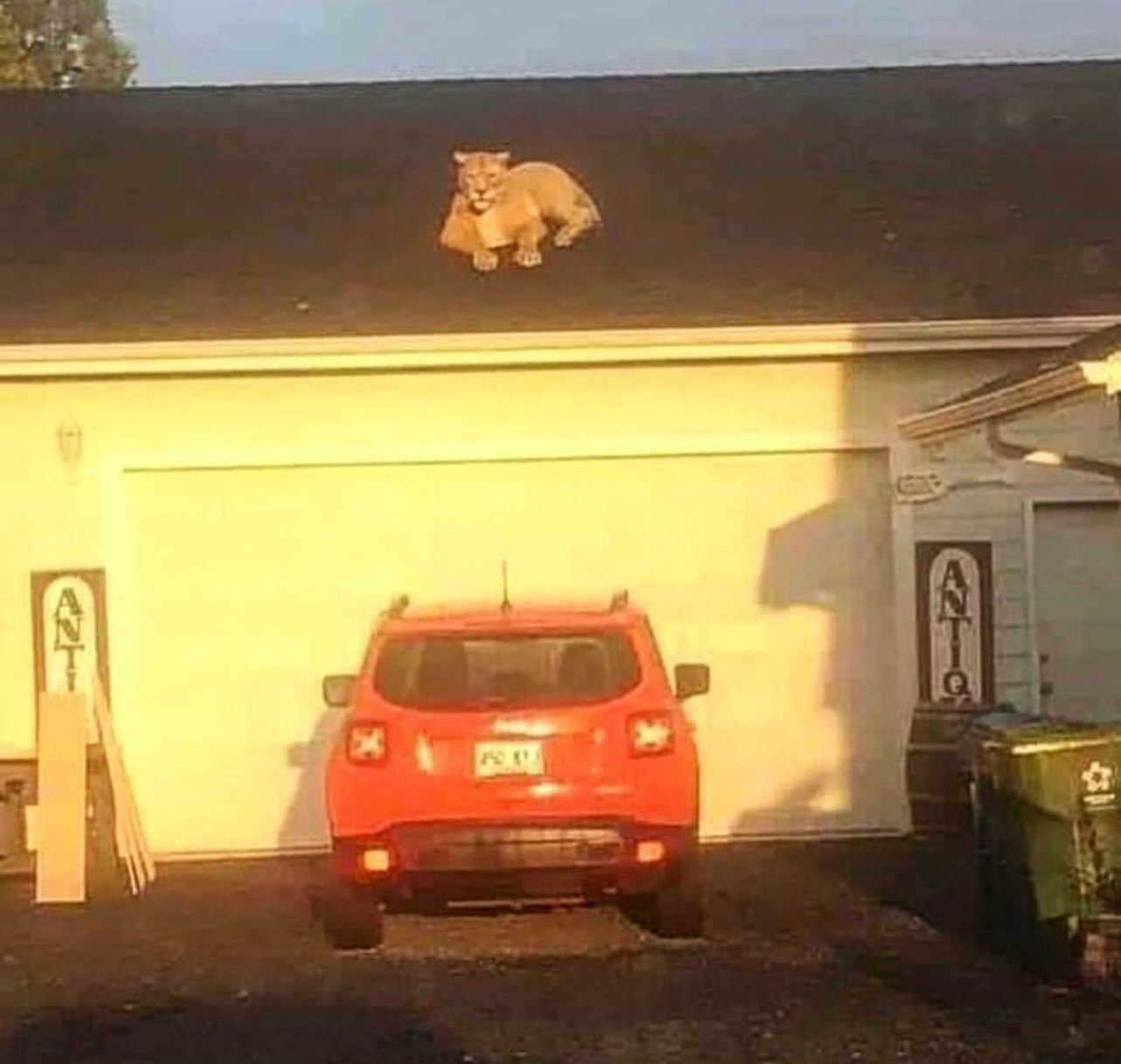 а