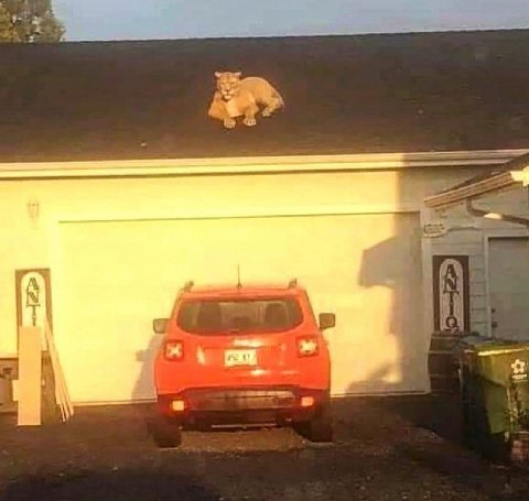 а