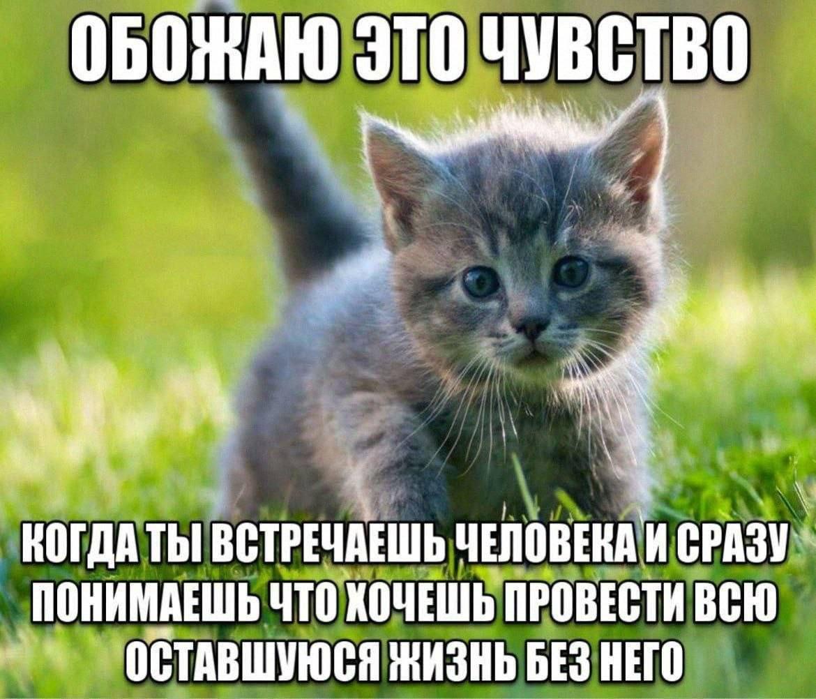 ОБОЖАЮ ЭТО ЧУВСТВО КОГДА ВСТРЕЧАЕШЬ ЧЕЛОВЕКА И СРАЗУ ПОНИМАЕШЬ ЧТО ХОЧЕШЬ ПРОВЕСТИ ВСЮ ОСТАВШУЮСЯ ЖИЗНЬ БЕЗ НЕГО