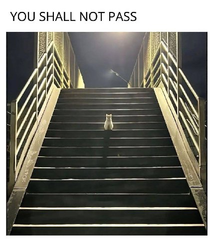 YOU SHALL NOT PASS
