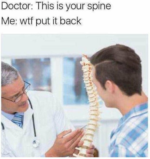 Doctor: This is your spine Me: wtf put it back 4