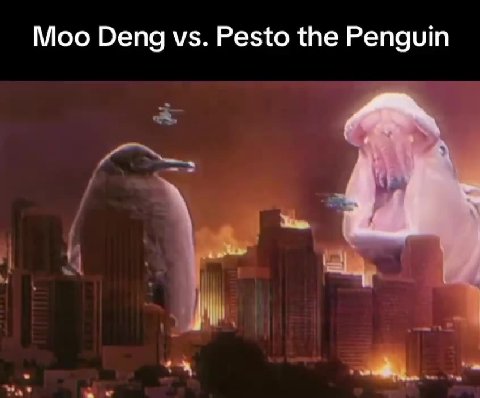 Moo Deng vs. Pesto the Penguin