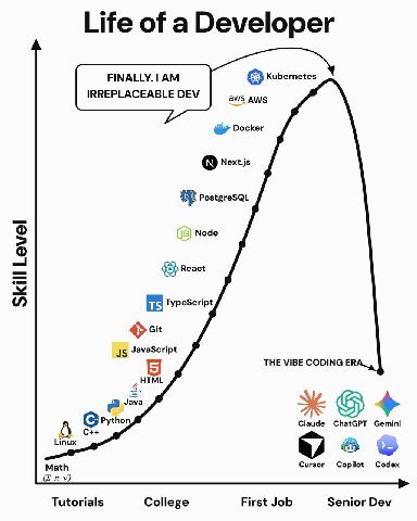 Life of a Developer FINALLY. Kubernetes IRREPLACEABLE DEV aws AWS Docker Next.js PostgreSQL Node React TypeScript sit JavaScript THE VIBE CODING HTML Java Python Claude ChatGPT Gemini Linux 8 Math Cur