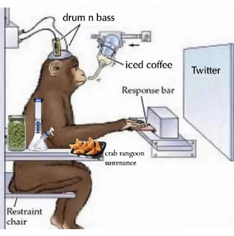 drum bass #1 if iced coffee Twitter Response bar а crab rangoon sustenance Restraint chair