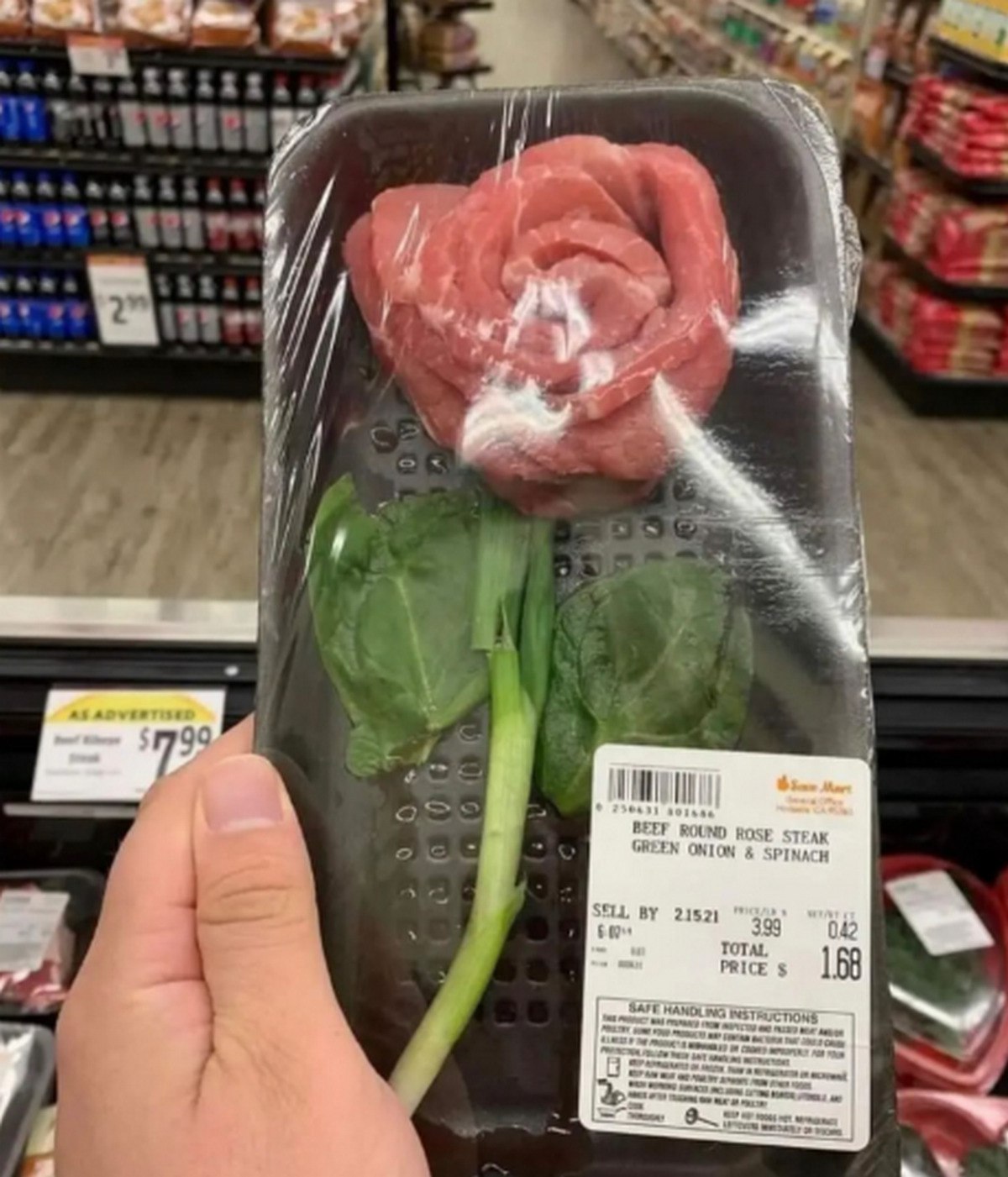 ROSE 16