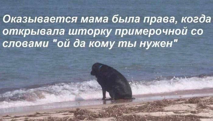 Оказывается мама была права, когда открывала шторку примерочной словами да кому ты нужен