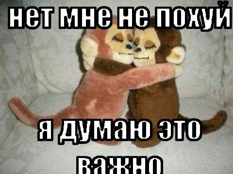 не похуи я думаю это