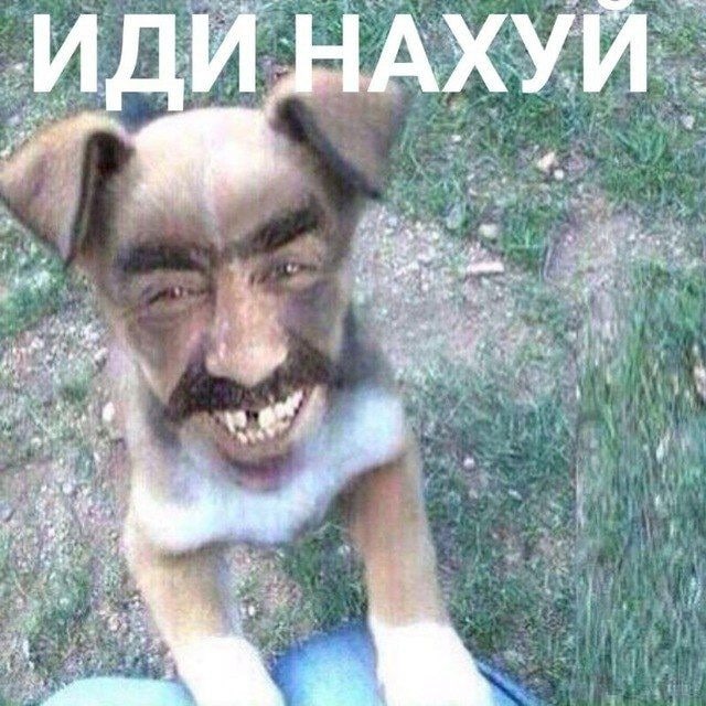 я К: 2 А he 9 5 у у 3 4 4 a VEE hE i