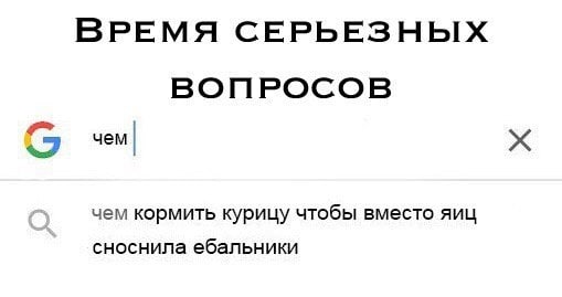 ВРЕМЯ СЕРЬЕЗНЫХ ВОПРОСОВ чем чем кормить курицу чтобы вместо ЯИЦ сноснила ебальники