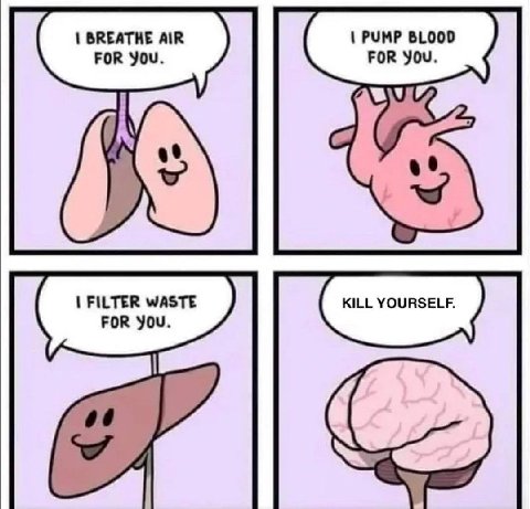 BREATHE AIR PUMP BLOOD FOR You. FOR You. FILTER WASTE FOR You.