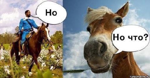 что? у