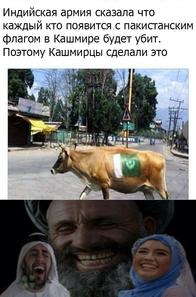 Индийская армия сказала что каждый кто появится с пакистанским флагом в Кашмире будет убит. Поэтому Кашмирцы сделали это if a 4