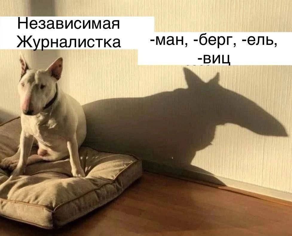 Независимая Ж -ман, -берг, -ель, _-ВИЦ алистка
