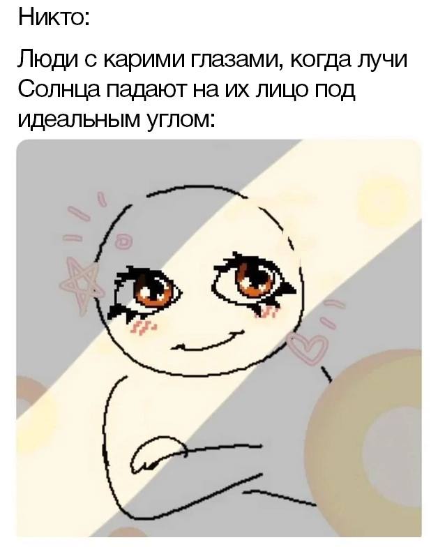 Никто: Люди с карими глазами, когда лучи Солнца падают на лицо под идеальным углом: