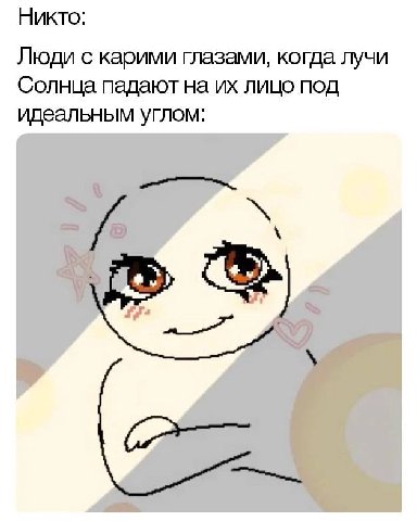 Никто: Люди с карими глазами, когда лучи Солнца падают на лицо под идеальным углом: