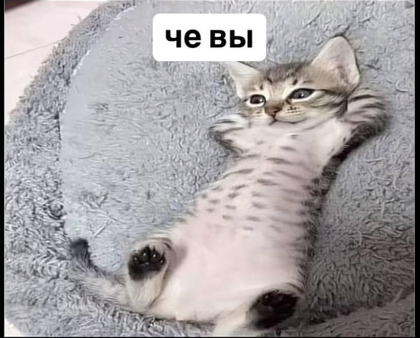 At чевы 4 5 2 at
