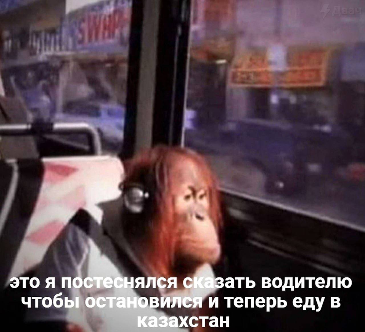 это A постёёнялся с ать водителю чтобы остановился и теперь еду в казахстан