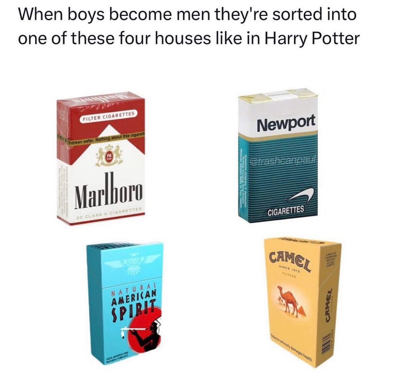 When boys become men they're sorted into one of these four houses like in Harry Potter Newport CIGARETTES Me,