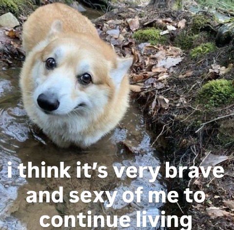 “4 4 think it’s very brave and sexy of me continue living