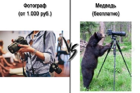 Фотограф Медведь (от 1.000 руб.) (бесплатно) 13% yet 7