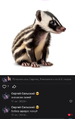 Сергей Сальский ахахахаа океей Сергей Сальский бобер адидас нахуй