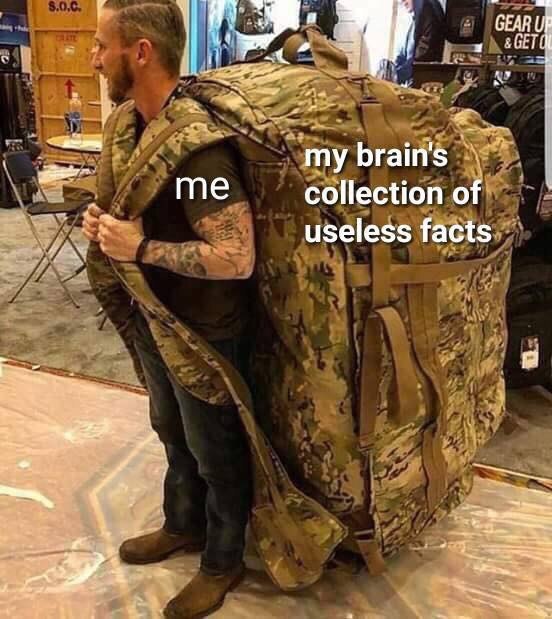 a i! my brain's me collection of useless facts a