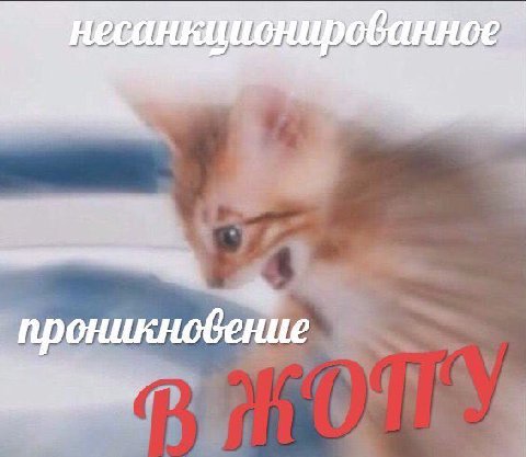 проникновение