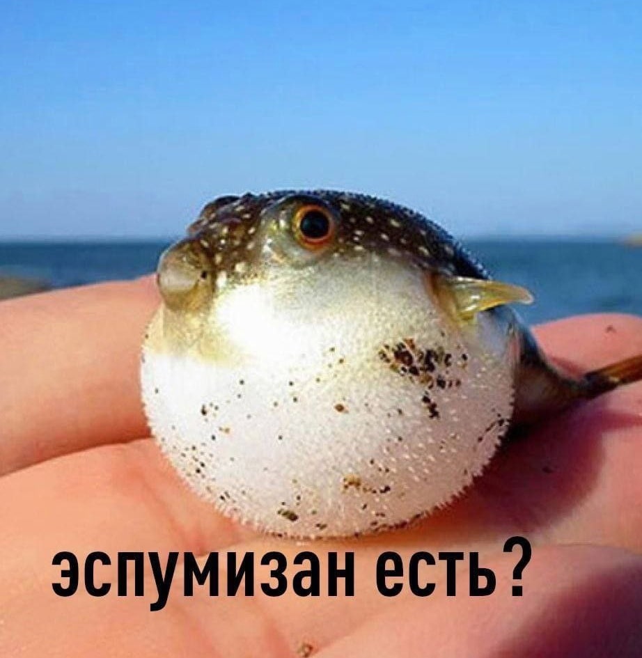 у, Честь” эспумизан