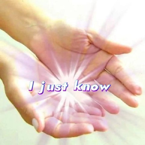 > ` | + № катом,