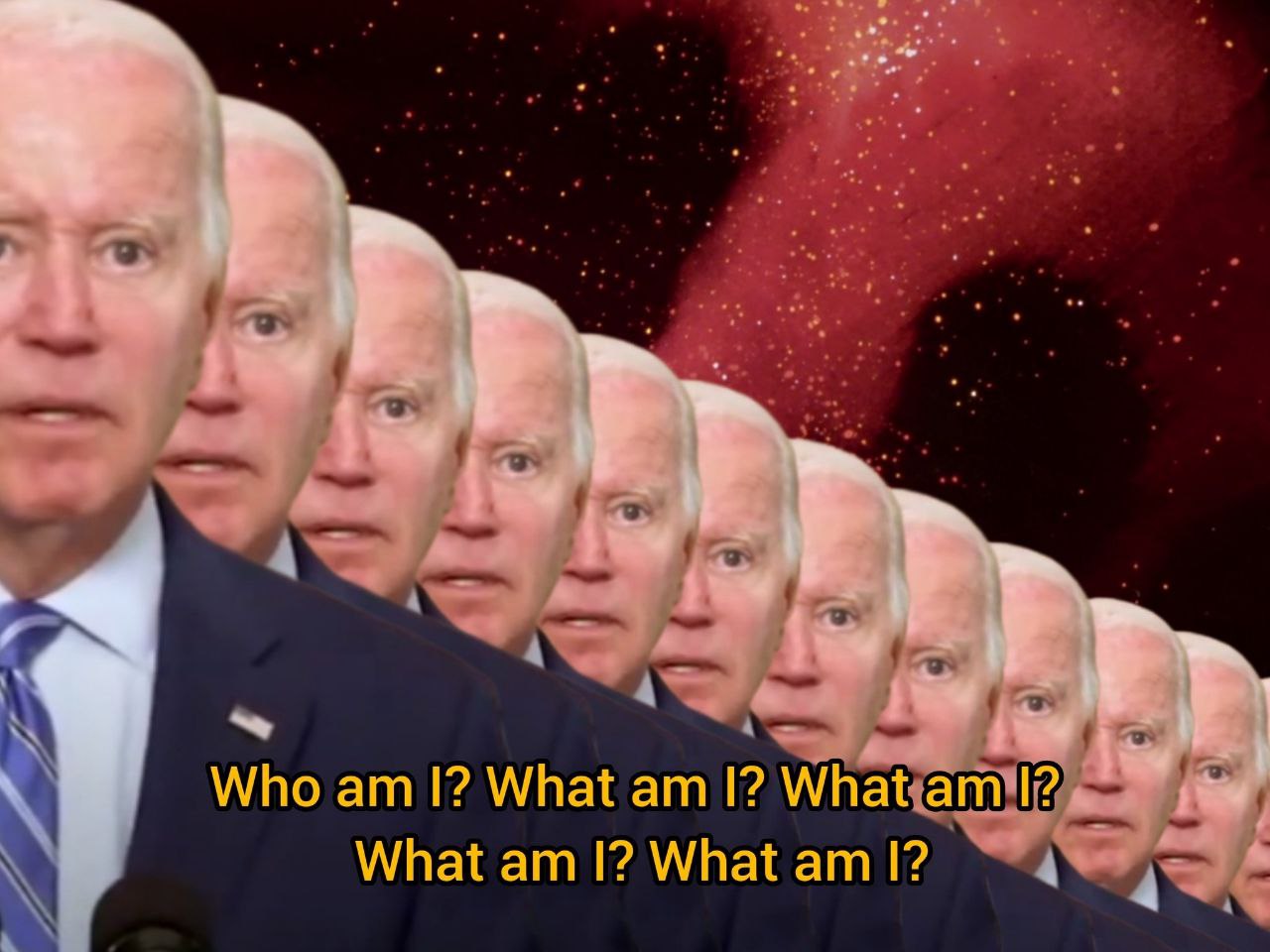 Who What What 12. What What I?