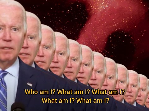 Who What What 12. What What I?