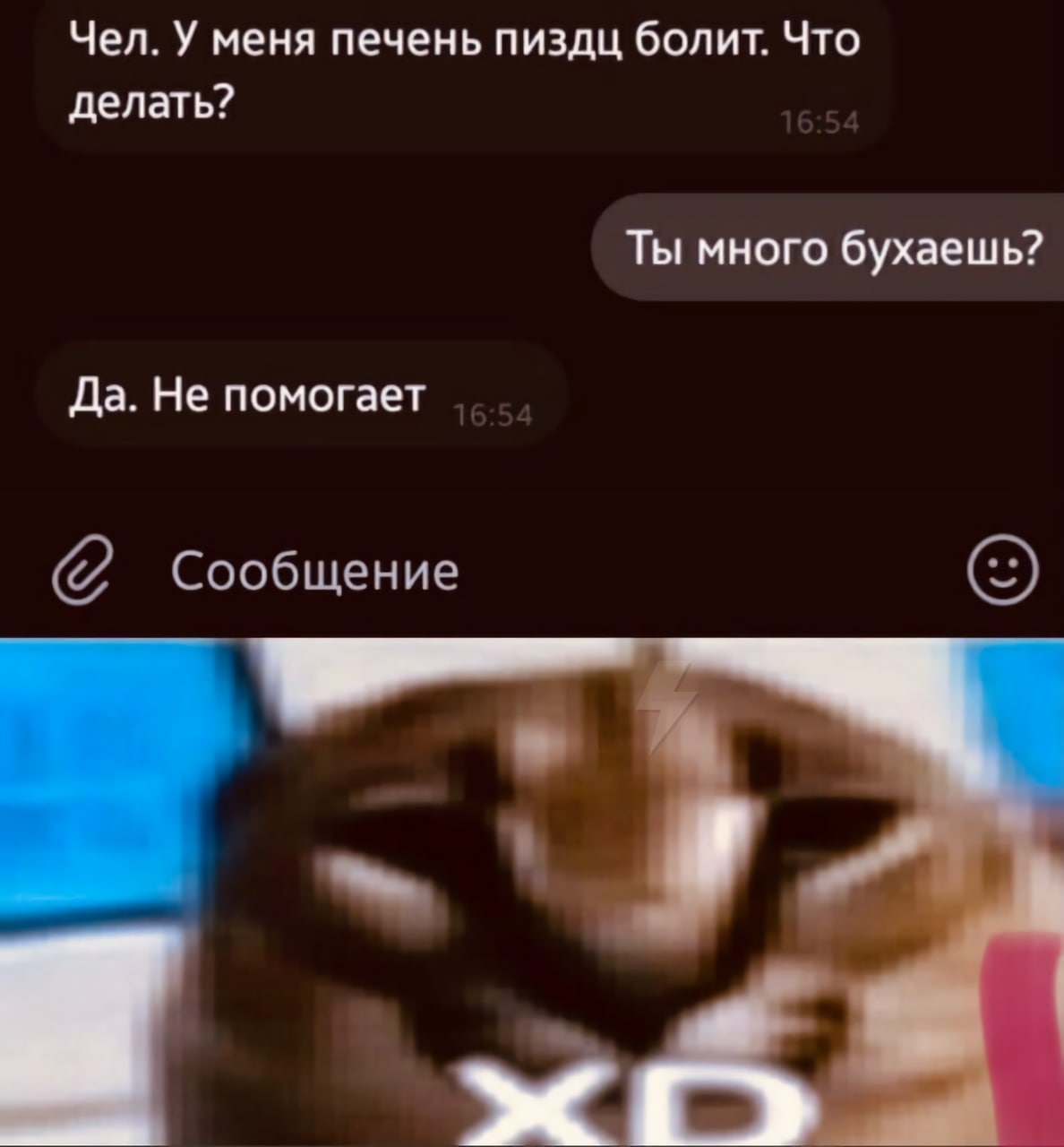 Чел. У меня печень пиздц болит. Что делать? Ты много бухаешь? Да. Не помогает Сообщение