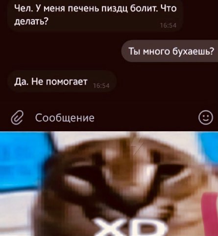 Чел. У меня печень пиздц болит. Что делать? Ты много бухаешь? Да. Не помогает Сообщение