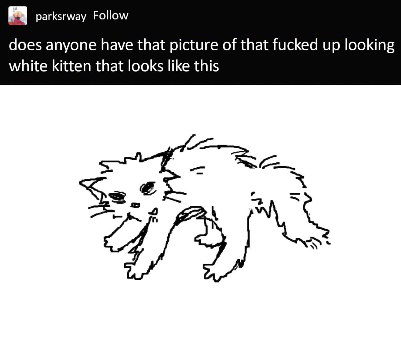 parksrway Follow does anyone have that picture of that fucked up looking white kitten that looks like this