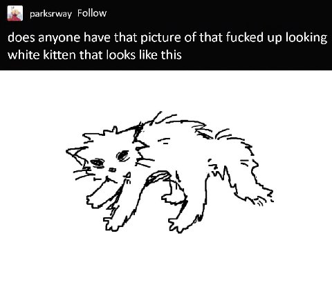 parksrway Follow does anyone have that picture of that fucked up looking white kitten that looks like this