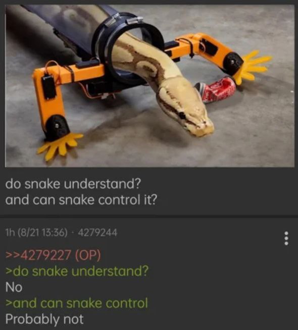 snake understand? and can snake control it? (8/21 13:36) 4279244 >>4279227 snake understand? No >and can snake control Probably not
