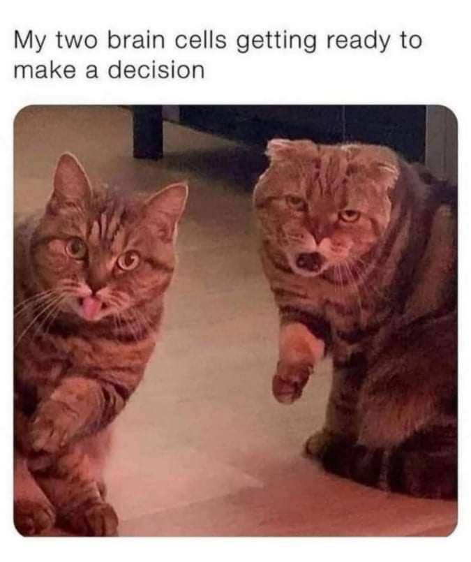 two brain cells getting ready to make a decision
