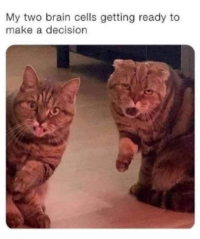 two brain cells getting ready to make a decision