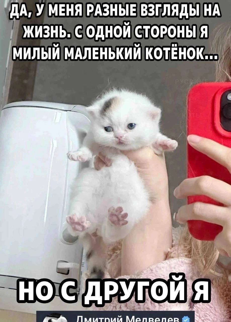 У МЕНЯ РАЗНЫЕ ВЗГЛЯДЫ НА ЖИЗНЬ. МИЛЫЙ МАЛЕНЬКИЙ И 4