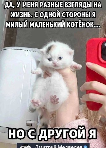 У МЕНЯ РАЗНЫЕ ВЗГЛЯДЫ НА ЖИЗНЬ. МИЛЫЙ МАЛЕНЬКИЙ И 4