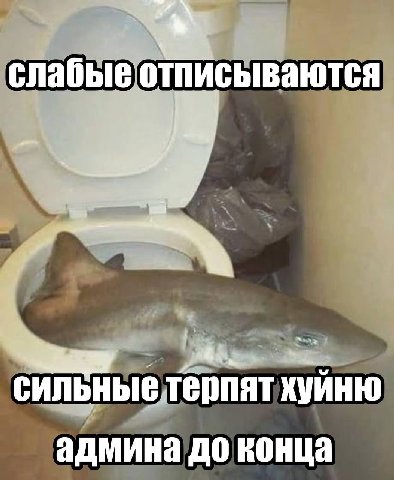 слабые отписываются сильные терпят админа до конца