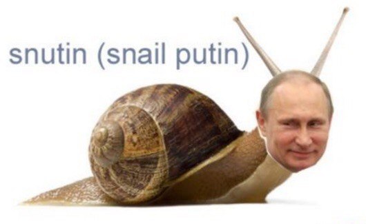 snutin (snail putin)