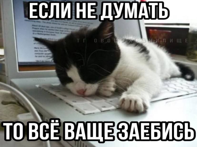 ЕСЛИ НЕДУМАТЬ 40 ТОВСЁВАЩЕЗАЕБИСЬ