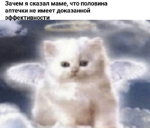 Зачем я сказал маме, что половина аптечки не имеет доказанной эффективности